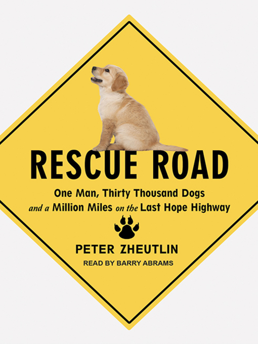 Title details for Rescue Road by Peter Zheutlin - Available
